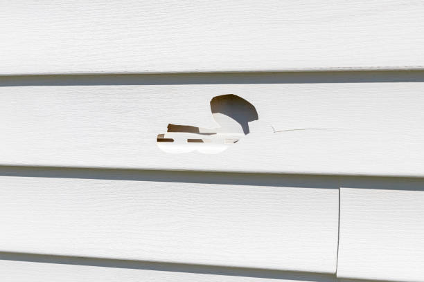 How To Choose The Right Materials for Your Siding Installation in 'Tuckahoe, VA